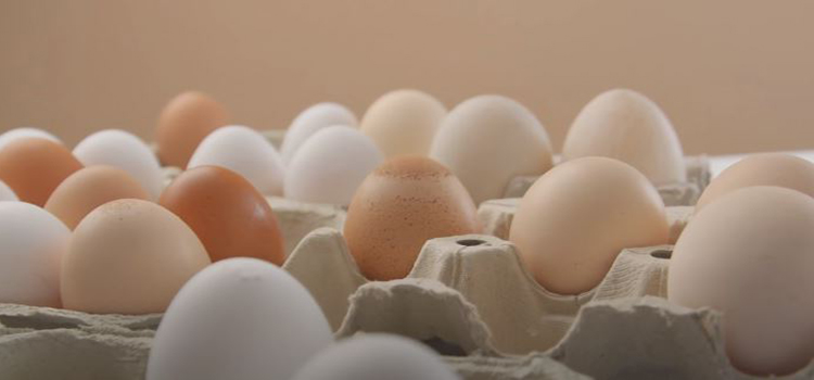 eggs on a tray