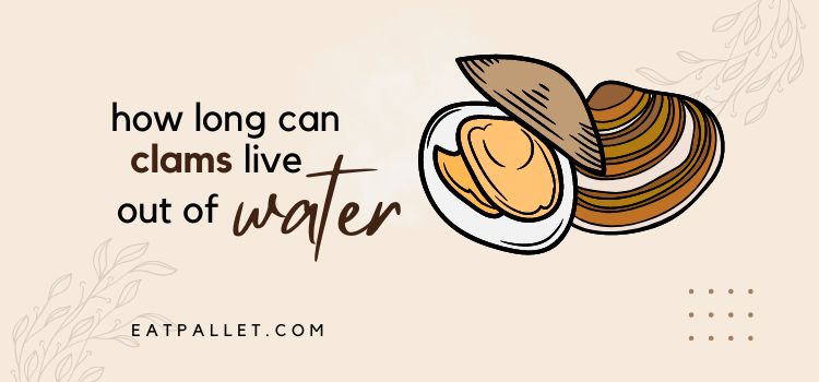 How Long Can Clams Live Out Of Water