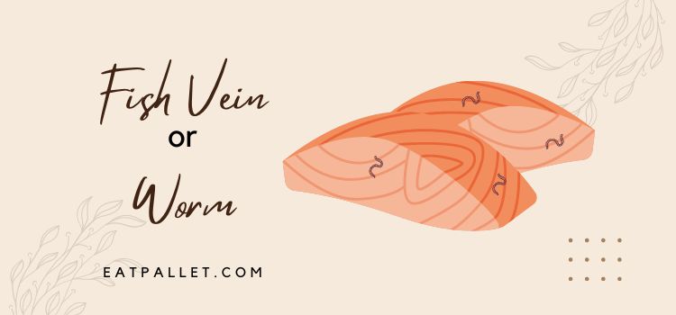 Fish Vein or Worm
