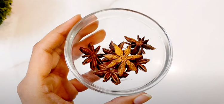 hand holding a glass bowl with star anise