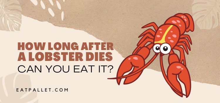 How Long After A Lobster Dies Can You Eat It