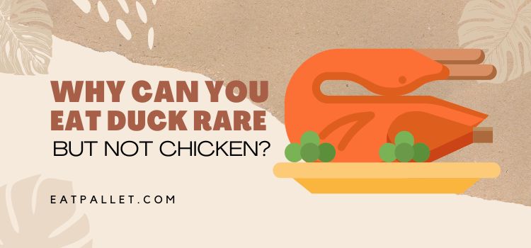 Why Can You Eat Duck Rare But Not Chicken