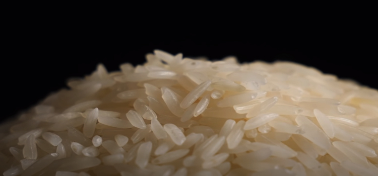 close up shot of a rice grain