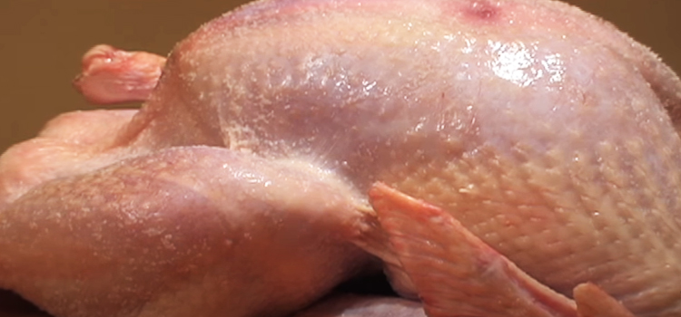 close up shot of a dry brined turkey