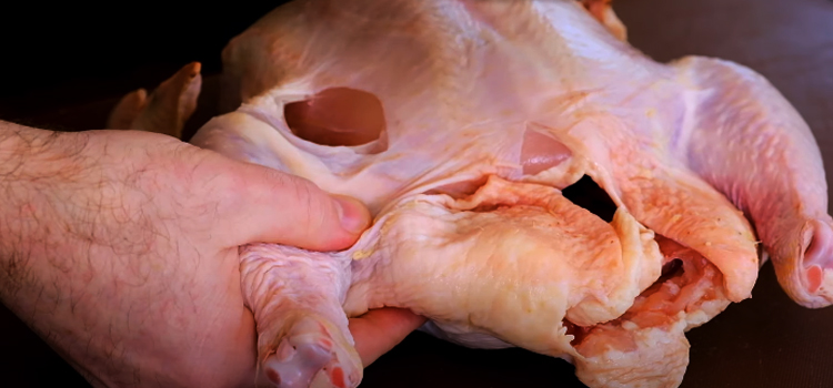 hand holding whole chicken