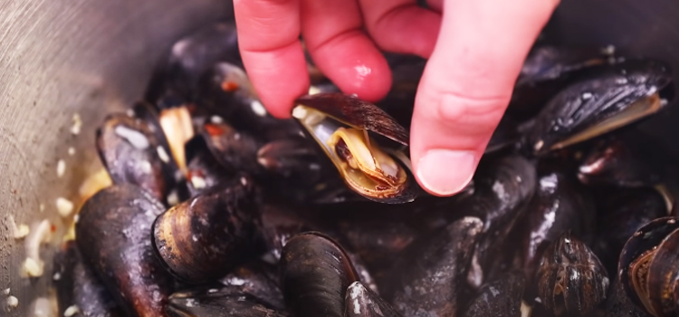 hand holding a mussels