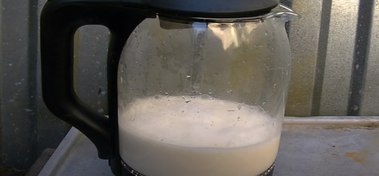 milk in an electric kettle