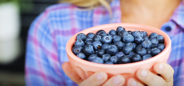 woman holding bowl of blueberries