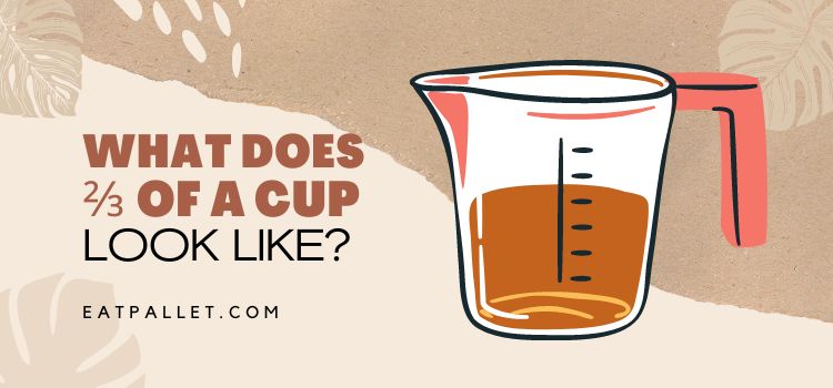 What Does ⅔  Of A Cup Look Like