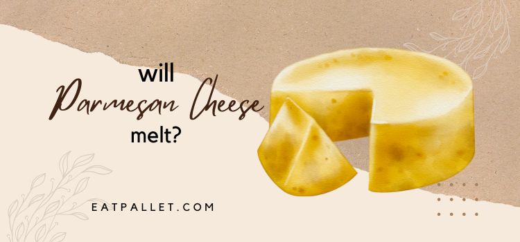 Will Parmesan Cheese Melt