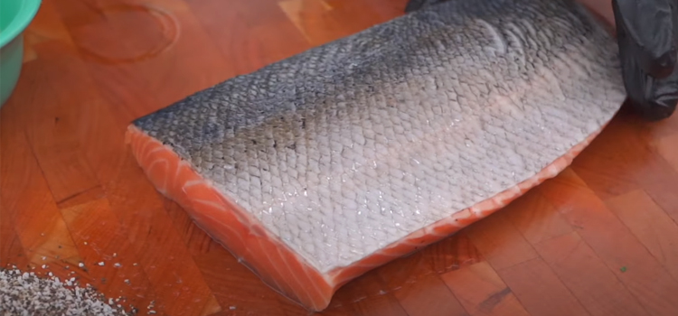 salmon fillet