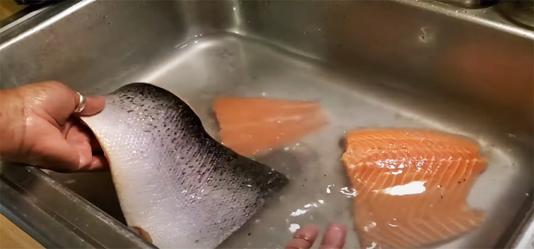 rinsing a salmon