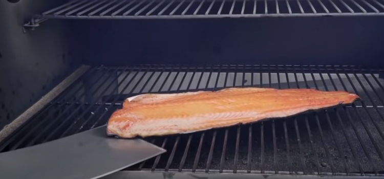 salmon on a grill