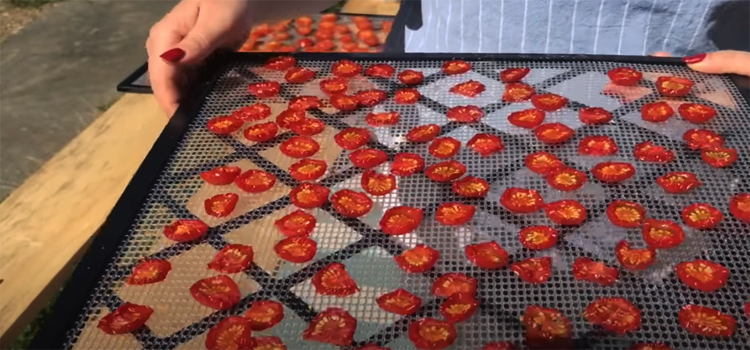 woman holding sun dried tomatoes