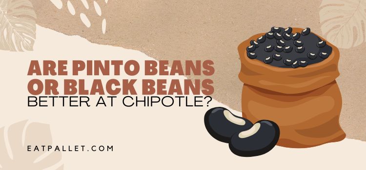 Are Pinto Beans Or Black Beans Better At Chipotle
