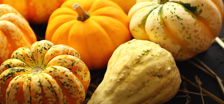 Different Sizes of Pumpkins