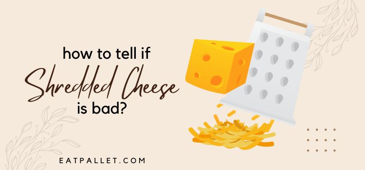 How To Tell If Shredded Cheese Is Bad