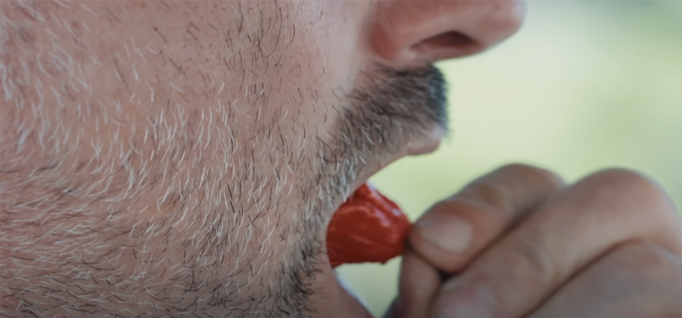 Man Eating Pepper