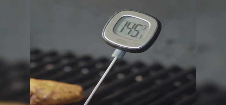 Meat Thermometer