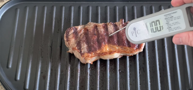 checking meat temperature