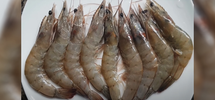 shrimps on a white plate