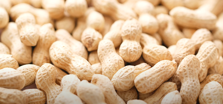 Close Up Shot of Peanuts