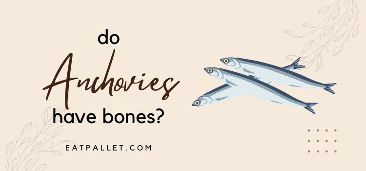 Do Anchovies Have Bones