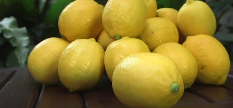 Lemons on a Wooden Table