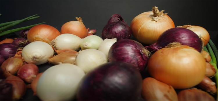 Red and White Onions