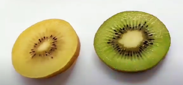 Slices of Golden and Green Kiwi