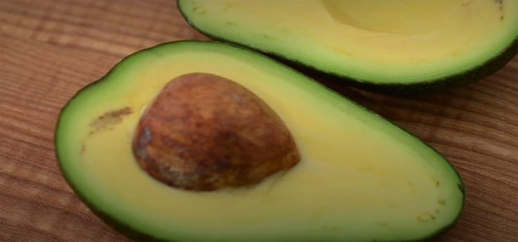 Close Up Shot of an Avocado