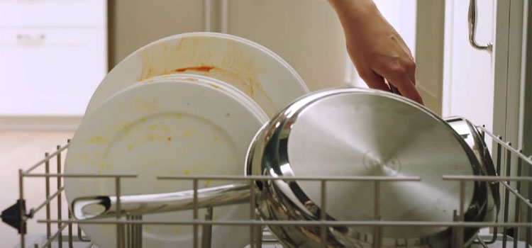 Cleaning a Stainless Steel Pan and Plates in the Dishwasher