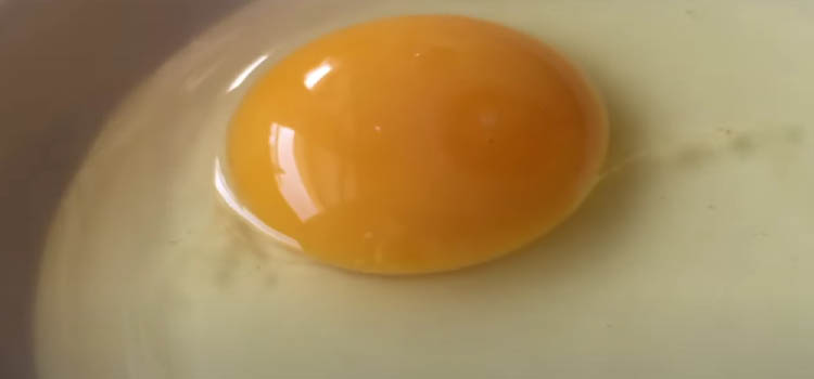 Close Up Image of an Egg