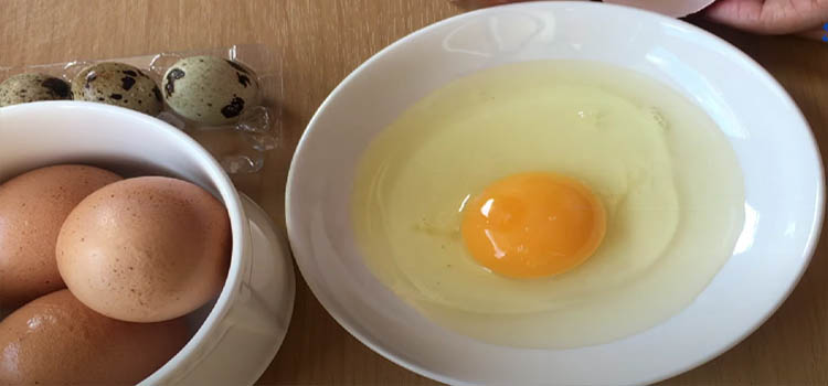 Cracked Egg on a Plate