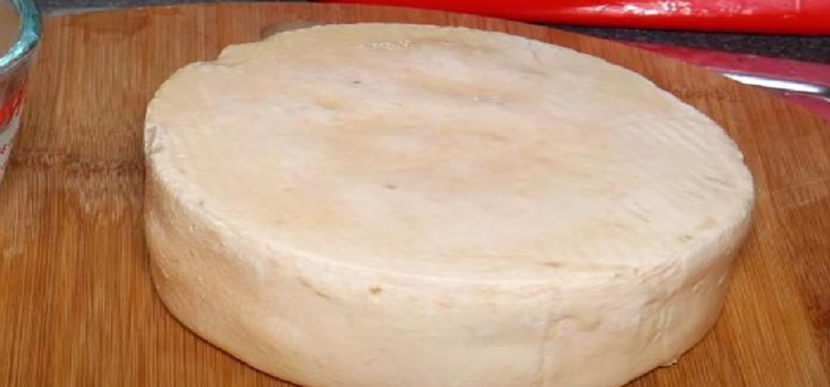 Homemade Fontina Cheese