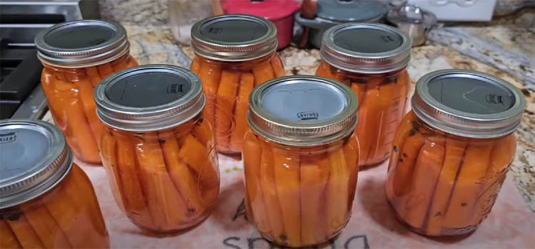 Jars of Pickled Carrots