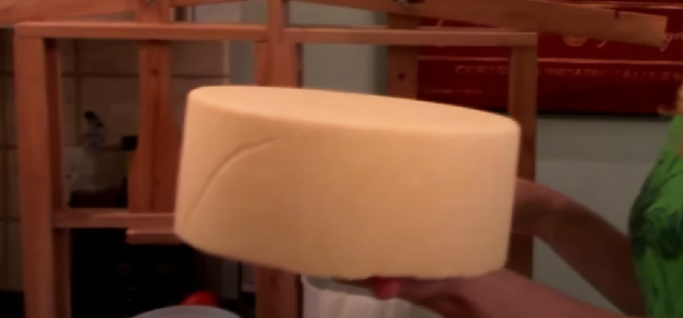 Person Holding Colby-Jack Cheese