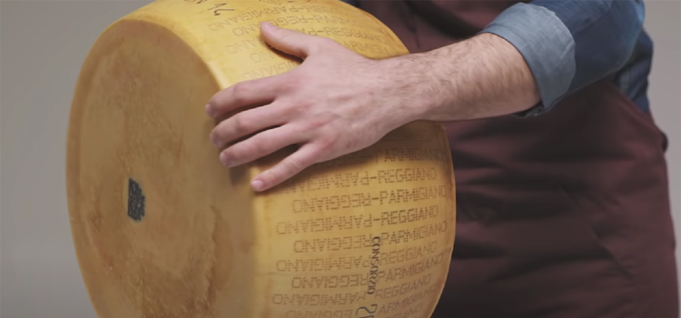 Person Holding Whole Parmesan Cheese