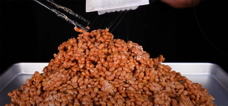 Natto on a Pan