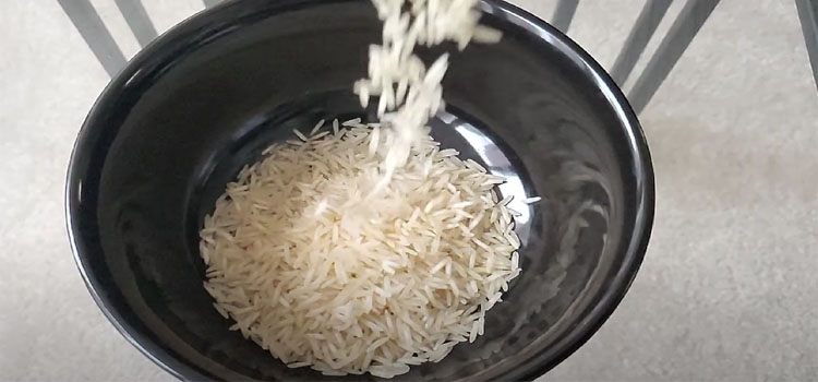 Pouring Rice on a Bowl