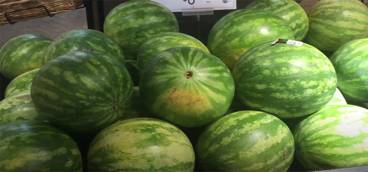 Watermelons