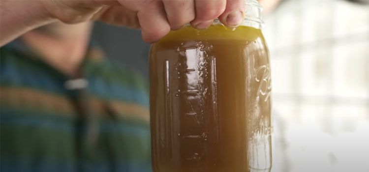 Hand Holding Jar of Bone Broth