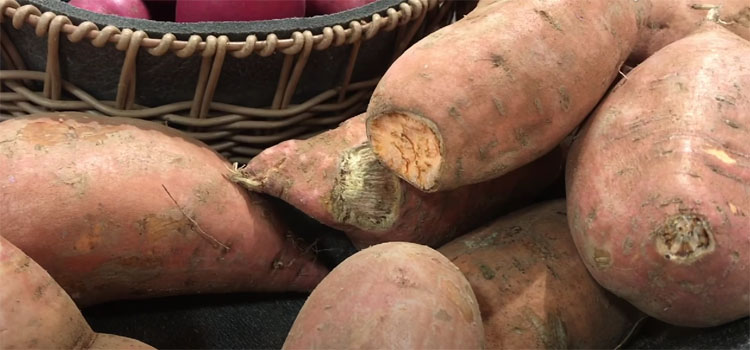 Close Up Image of Sweet Potatoes