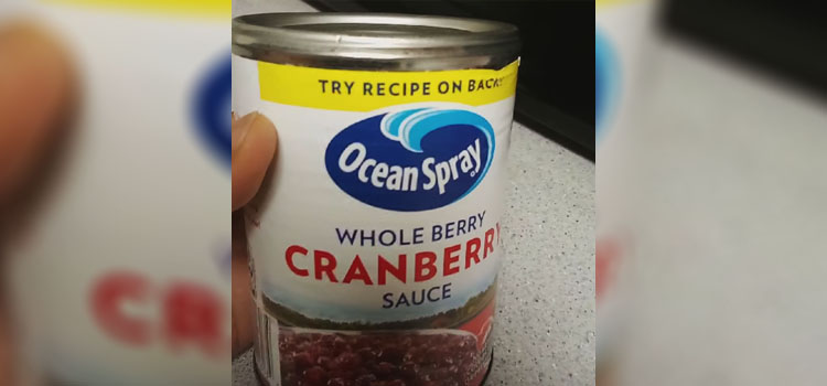 Cranberry Sauce in Can