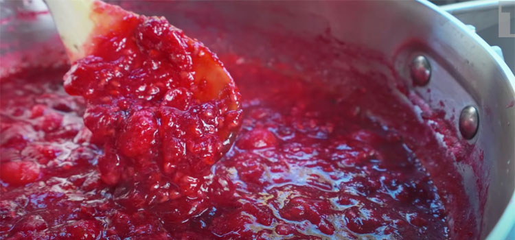 Close Up Image of  Cranberry Sauce