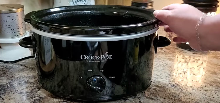 Crock Pot Slow Cooker