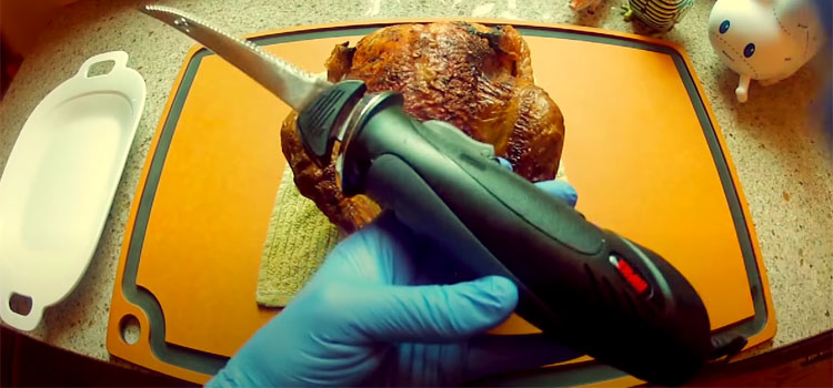 Person Holding Electric Knife For Carving Turkey