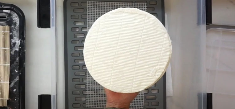 Top View of a Hand Holding Brie