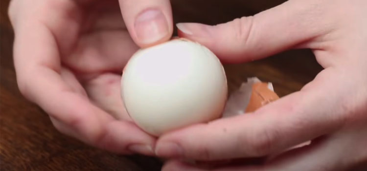 Person Holding Hard Boiled Egg