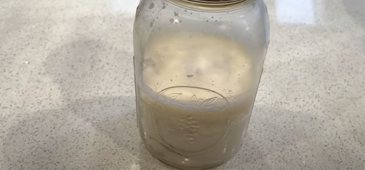 Beef Tallow on a Jar